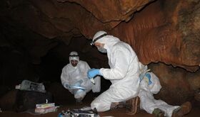 Proyecto arqueolgico de la Junta revela que ADN humano puede preservarse en las paredes de las cuevas
