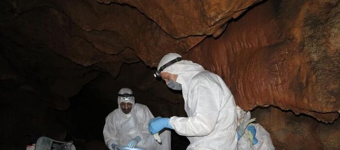 Proyecto arqueológico de la Junta revela que ADN humano puede preservarse en las paredes de las cuevas